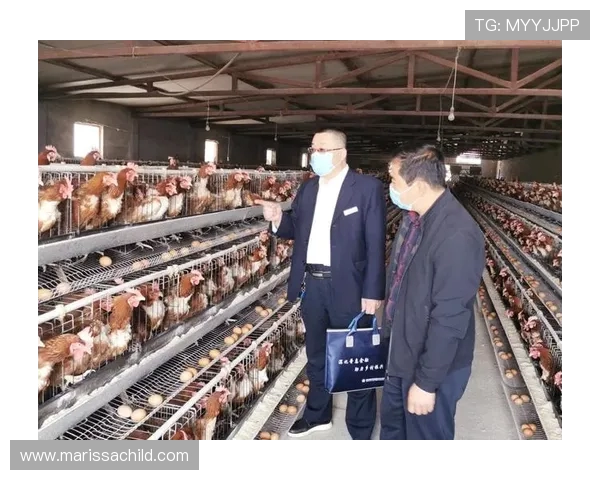 九台农商银行深化普惠金融服务助力乡村振兴与地方经济高质量发展